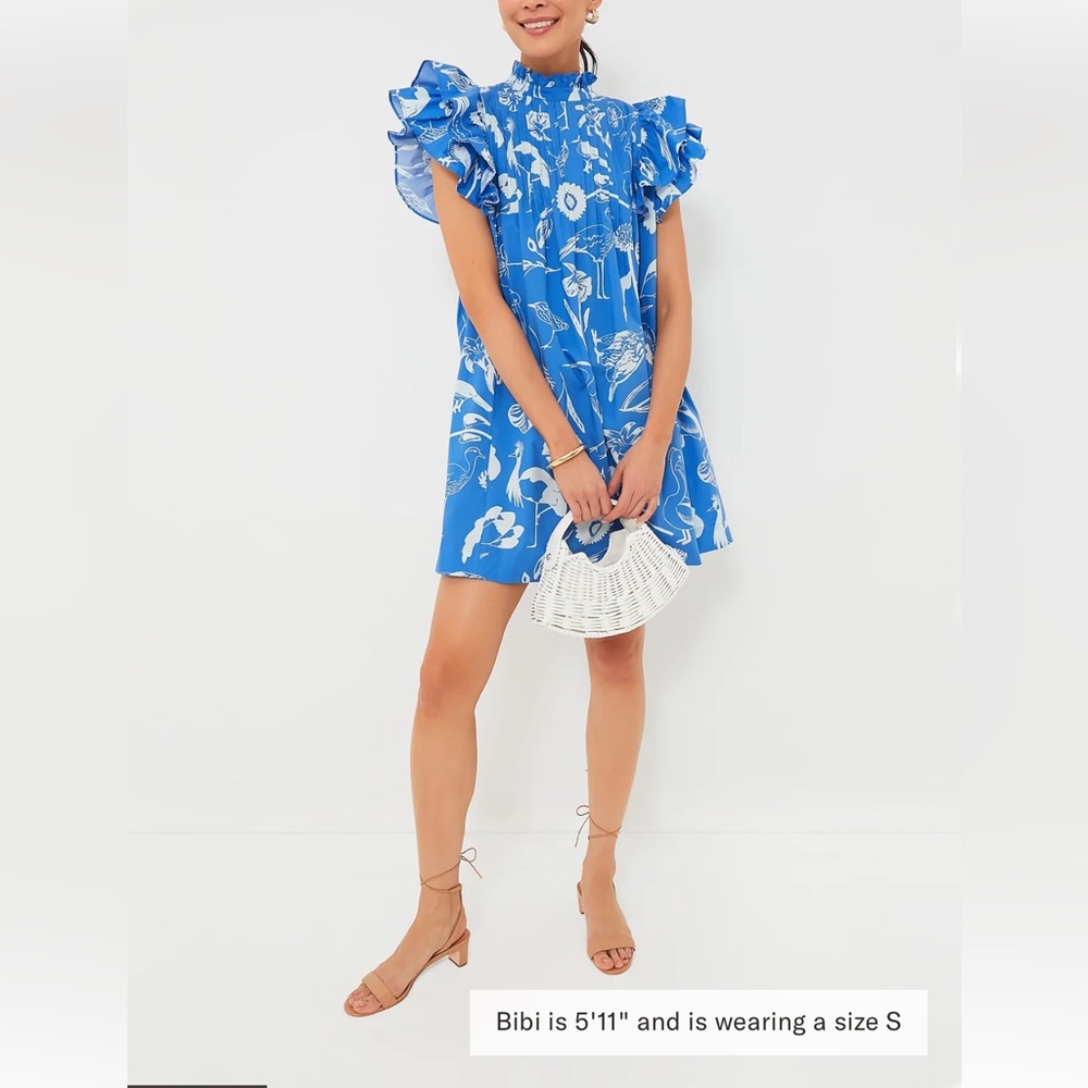 OLIPHANT Exclusive Audubon Blue Pintuck Ruffle Mini Dress - Picture 12 of 12